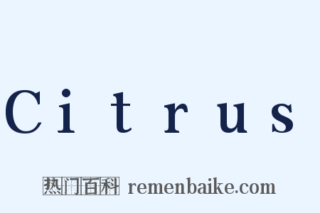 Citrus是什么意思的图片